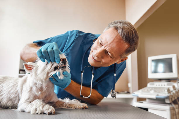 Best Urgent Care for Lost Fillings or Crowns in Staples, CT
