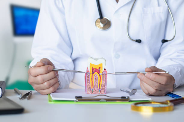 Best Emergency Dental Care for Broken or Chipped Teeth in Staples, CT